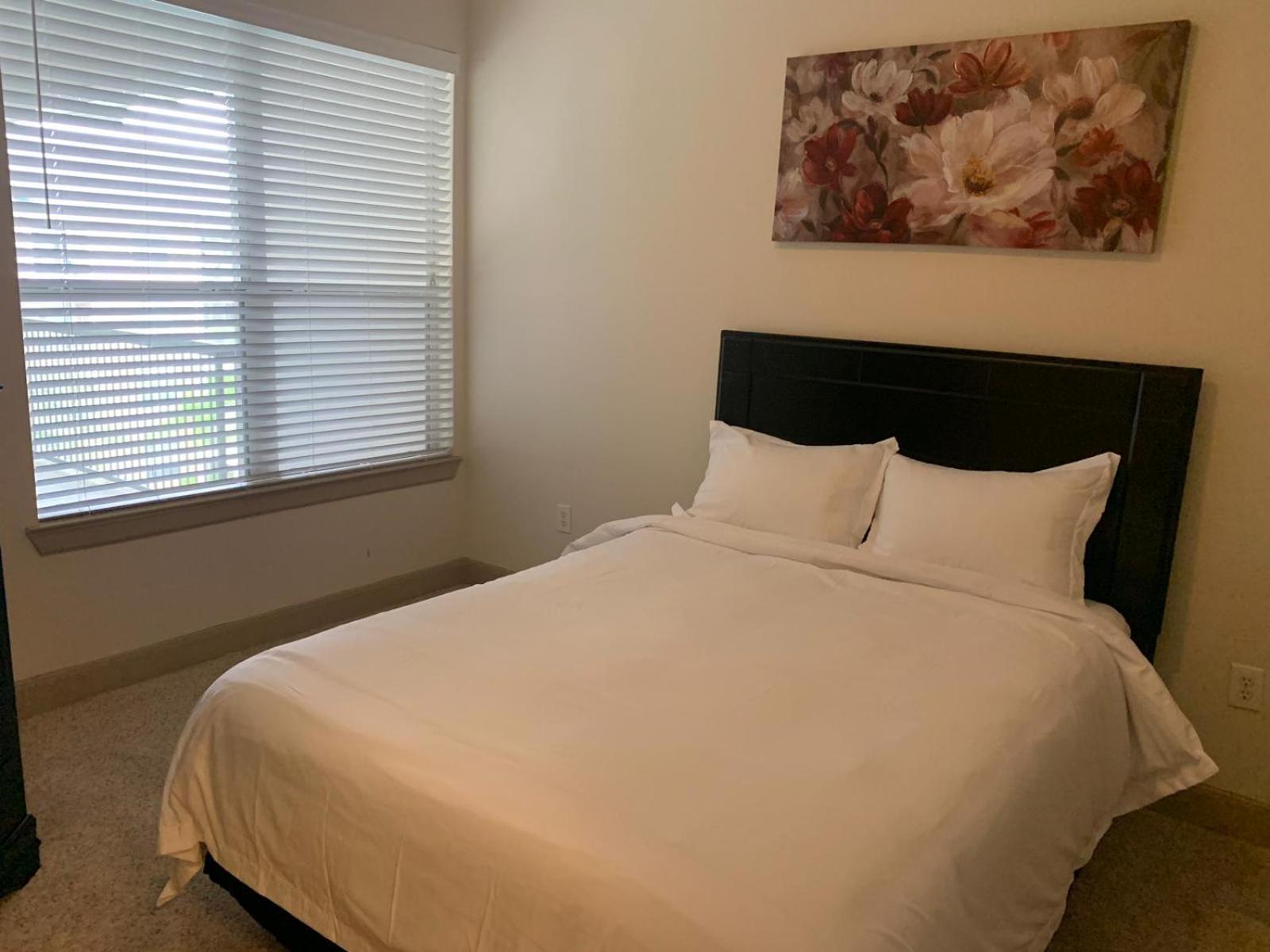 Gorgeous Furnished Apartments Near Texas Medical Center & Nrg Stadium Houston Quarto foto