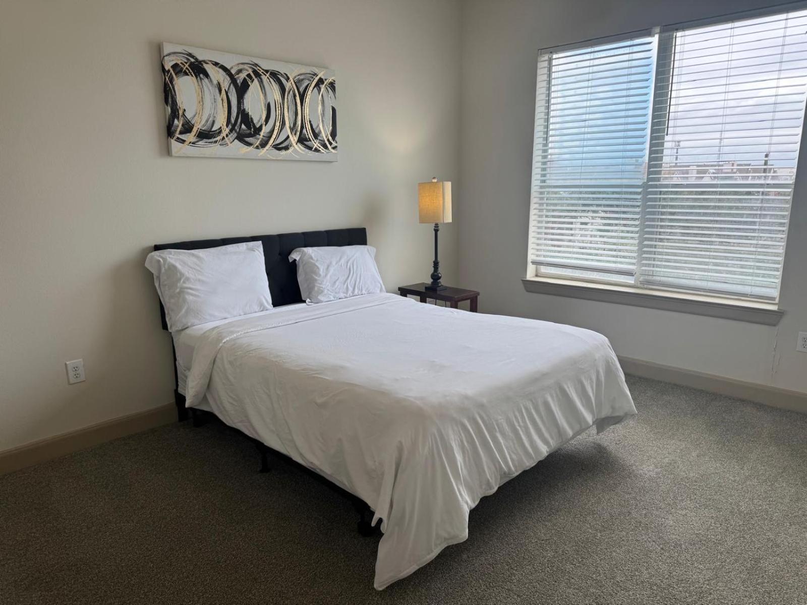 Gorgeous Furnished Apartments Near Texas Medical Center & Nrg Stadium Houston Quarto foto